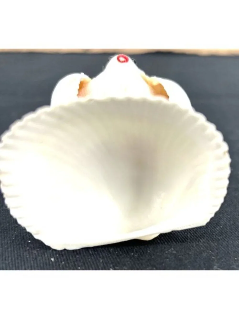 Seashell Bird Figurine Shelf Sitter Vtg 2.5